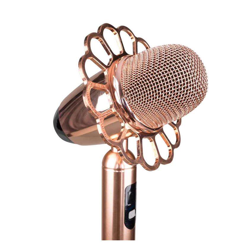 落地麦克风ktv专用歌厅摇摆复古怀旧舞台感应其它日用家电