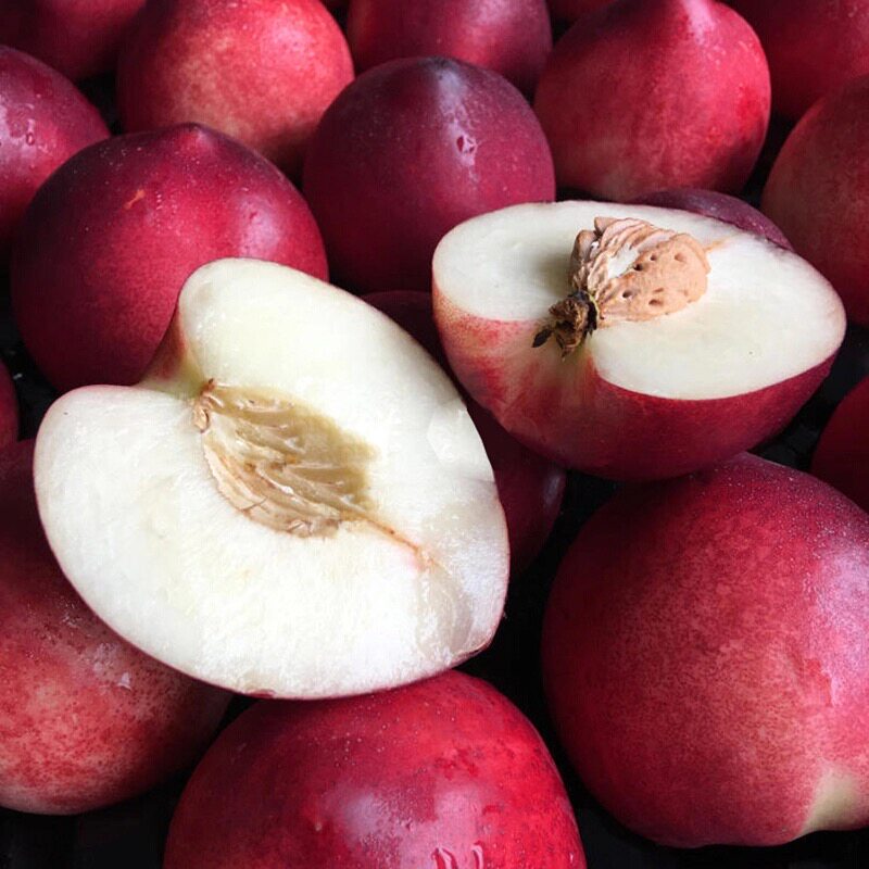 智利进口油桃驳李5斤桃子新鲜孕妇水果油桃脆水蜜桃应当季水果