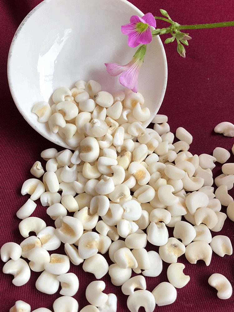 玉米雪芽米包谷广西头整粒大颗白玉玉米粒杂粮2500g玉米