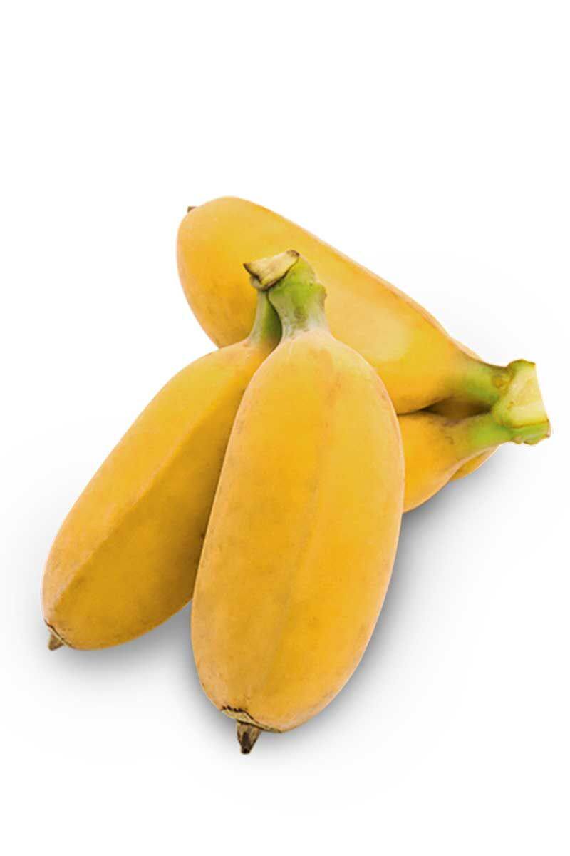 新鲜粉蕉小米米蕉小香香蕉自然熟甜苹果果粉香蕉