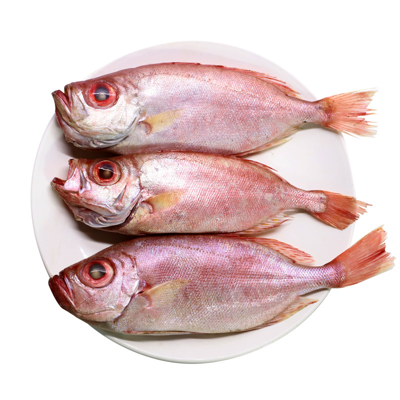 野生红眼鱼东海红目鲢深海鱼新鲜冷冻大眼鱼深海大眼鸡鲜活五斤装