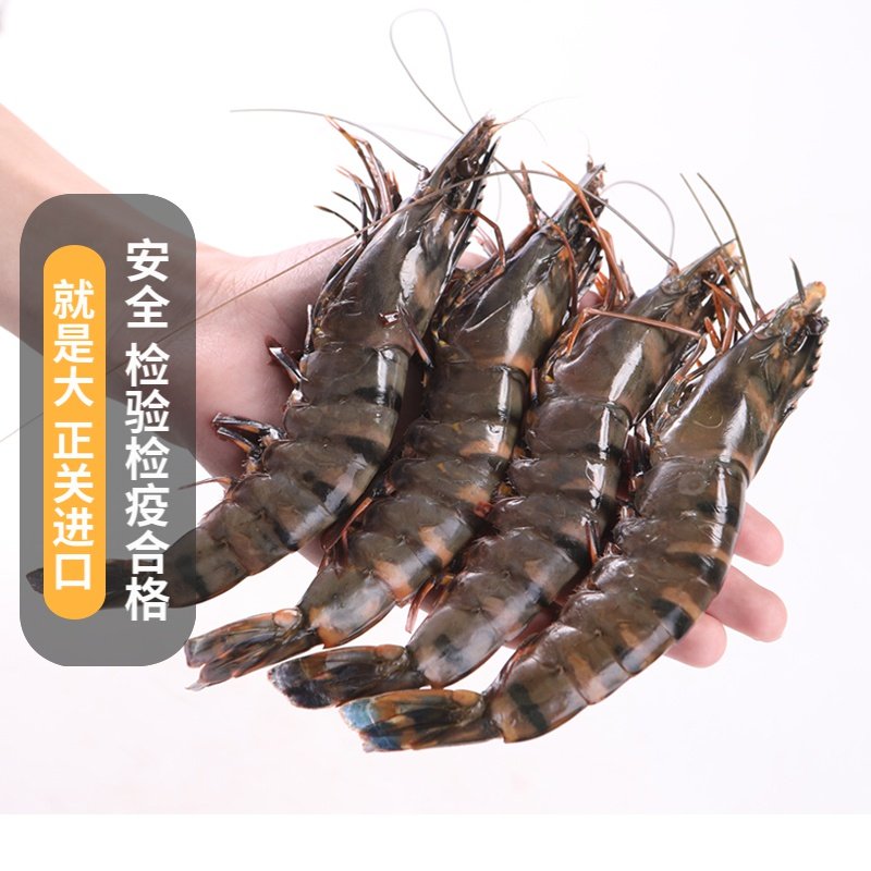 虎虾越南海虾鲜活超大速冻特大虎皮老虎大虾冻虾