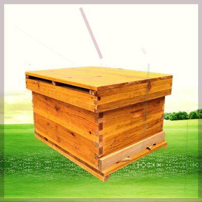 蜜蜂蜂箱中蜂标准十框专用全套平箱烘干杉木单层诱蜂箱收蜂密蜂桶