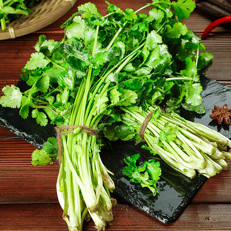 香菜新鲜4斤农家应季蔬菜青菜四季3斤当季其它