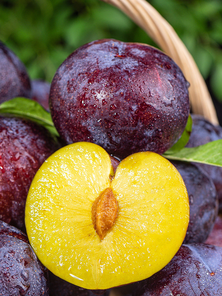 现货李子新鲜应当当季陕西黑布林现摘孕妇酸甜李子