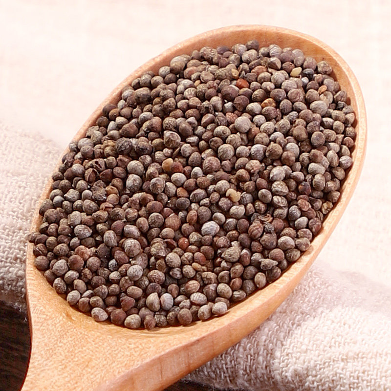 紫苏籽熟籽粉食用500g生苏中药正品中药材野生紫苏