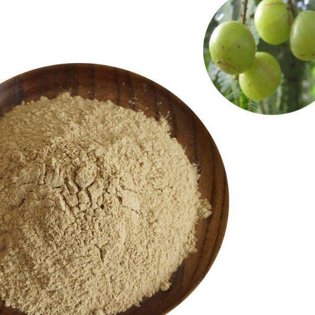 果粉余甘油柑生粉潮汕油甘粉油500g橄榄