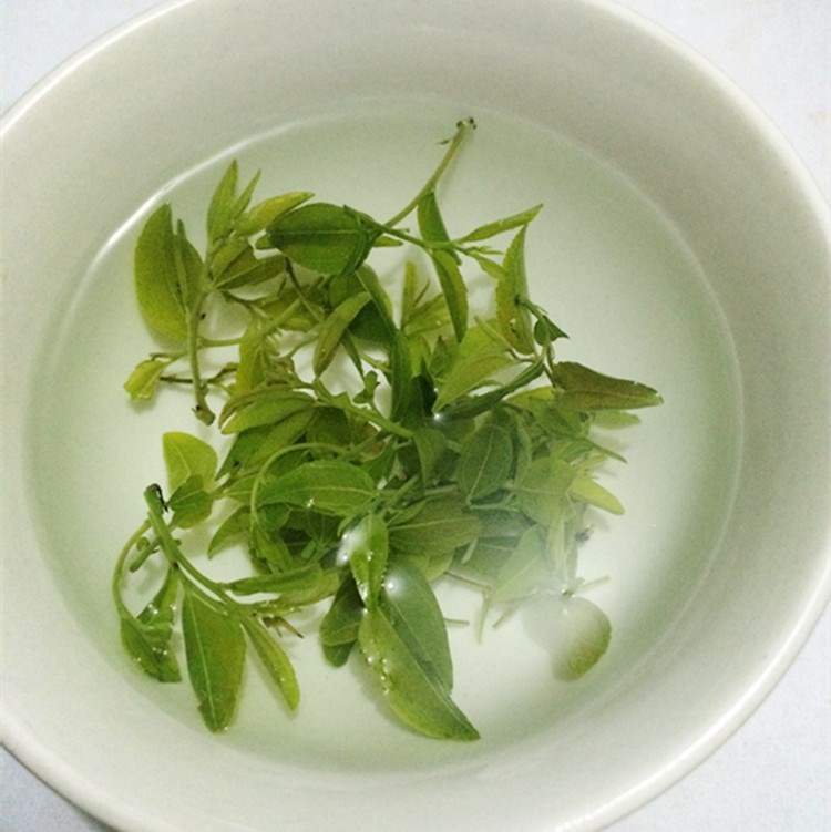 酸枣枣叶叶茶非野生泰山叶牙茶睡眠芽茶养生茶