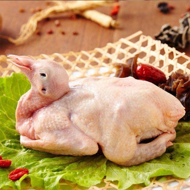 鸽子顺丰包邮新鲜乳鸽3只装现农家养老冷冻乳鸽