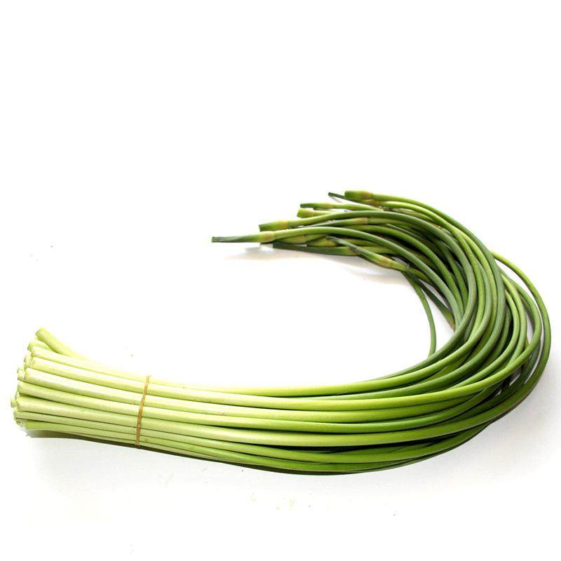 山东新鲜蒜苔当季蔬菜农家自种直发蒜薹蒜毫大蒜