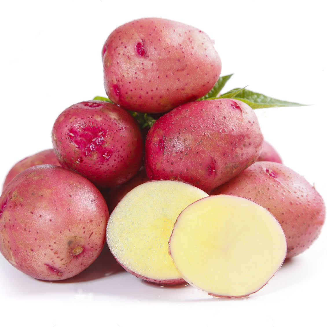 云南土豆红皮皮黄小土豆应季蔬菜火锅食材新鲜土豆