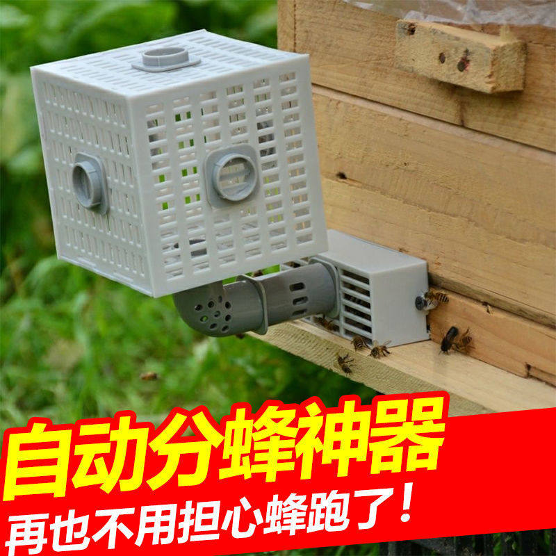 自动分蜂器中蜂收蜂器去除雄峰器多功能蜜蜂蜂箱无人值守防逃神器