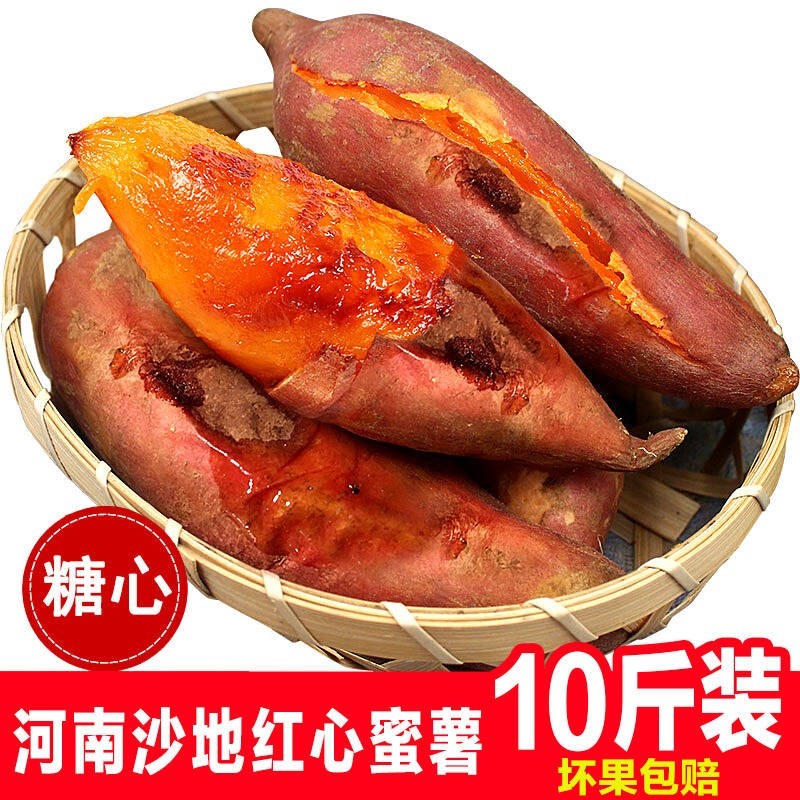 新鲜现挖沙地板栗红薯番薯农家自种10斤红暑番薯