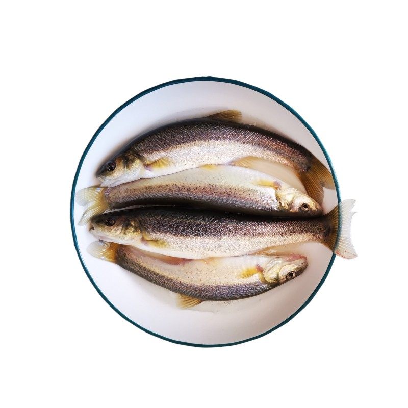 东北特产柳根新鲜活体4斤包邮鲜活大柳根真空淡水鱼类