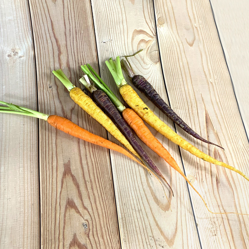 迷彩手指萝卜500g去叶彩色迷你小胡胡萝卜西餐萝卜