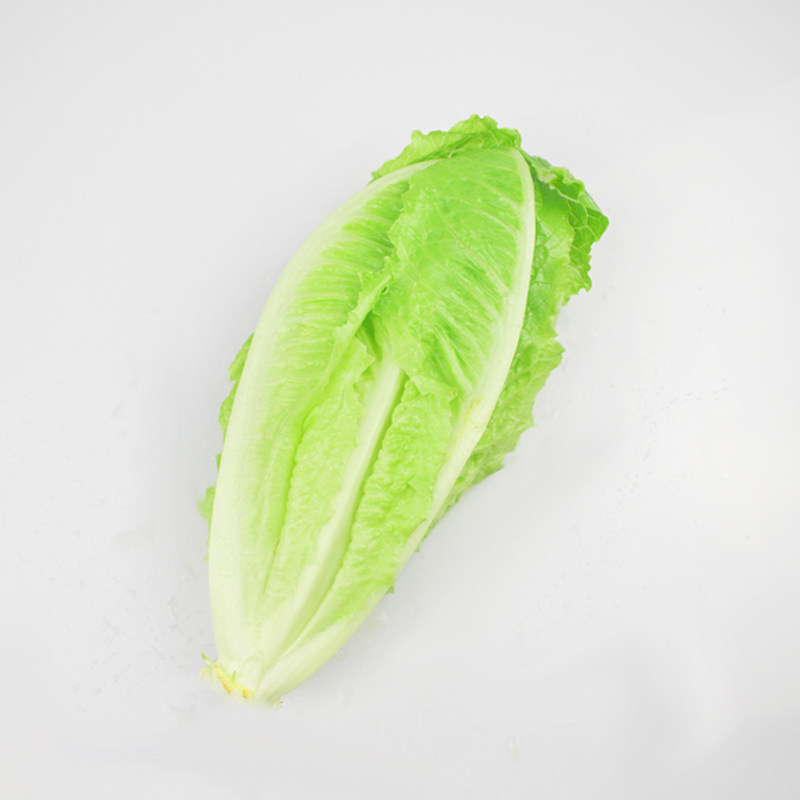 罗马生菜包心2斤黄心罗纹凯撒西餐沙拉食材其它