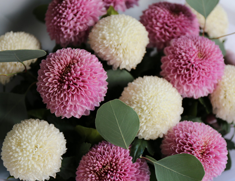 花束乒乓菊花福州花店鲜花同城速递生日送花鲜花速递同城