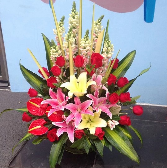 高档红掌百合百合花花篮合肥鲜花同城速递天津鲜花速递同城