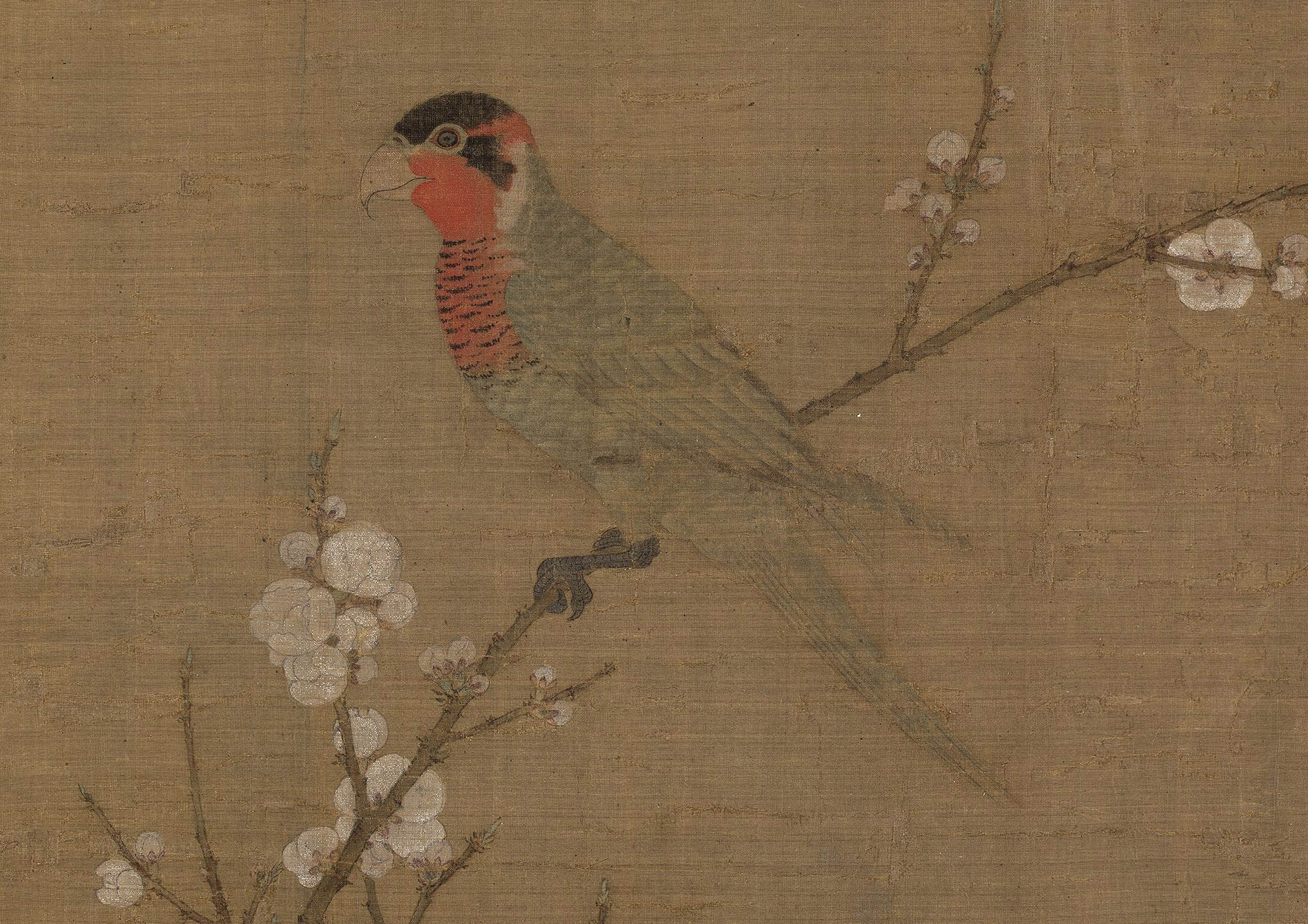 宋徽宗赵佶 五色鹦鹉图 绢本全卷瘦金体古代名画真迹高清装饰画  价格