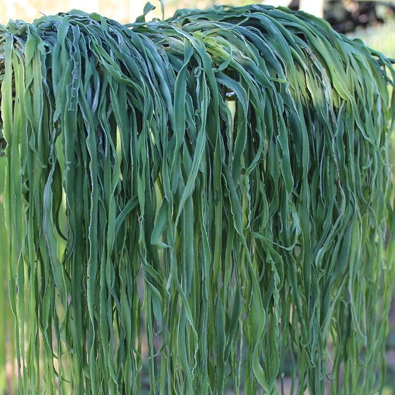 1500g无叶贡菜新鲜苔干苔菜自制农家土特产干货脱水蔬菜