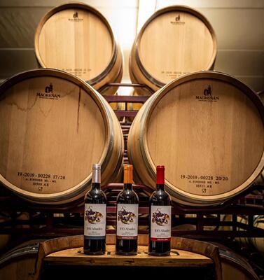 西班牙里奥joven红葡萄酒干红静态葡萄酒