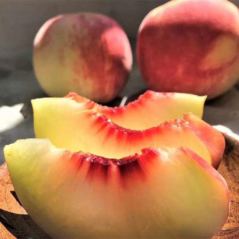 桃子水蜜桃现摘金秋红蜜桃脆寒露5斤毛桃山东桃