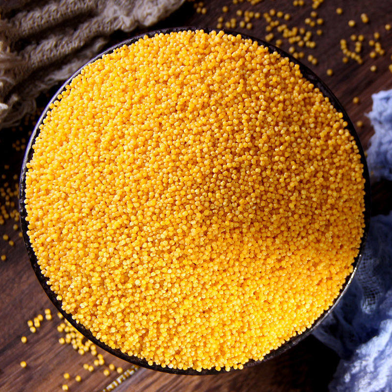 粮班长黄小米5斤赤峰敖汉小黄米_