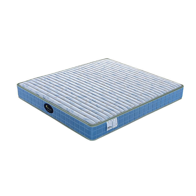 睡王豆蔻年华抗螨儿童床垫环保1米正反两用经济型弹簧床垫