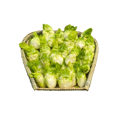 新鲜脆嫩儿菜四川娃娃菜农家自种蔬菜母子菜南充菜可泡菜咸菜榨菜