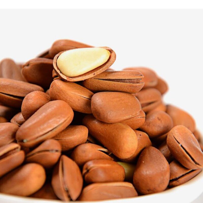 松子苗圃素材造型盆景五针小苗大阪迎客松松苗行道树