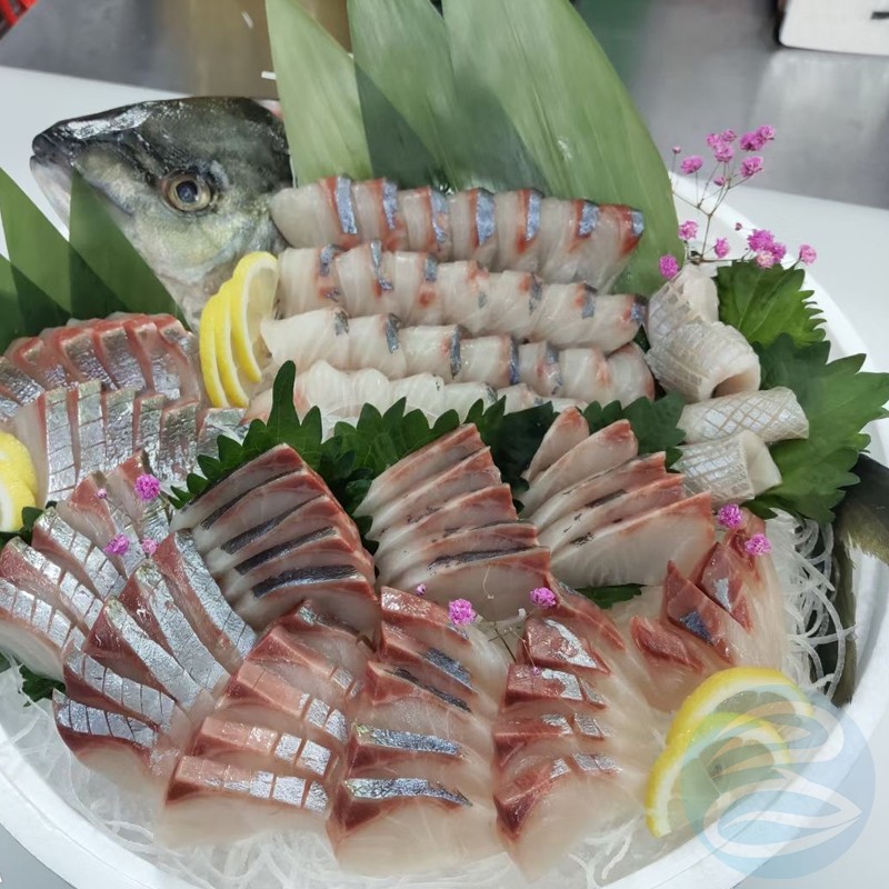 黄沙发货冰鲜池鱼王王大竹荚日本缟鰺刺身整条其它