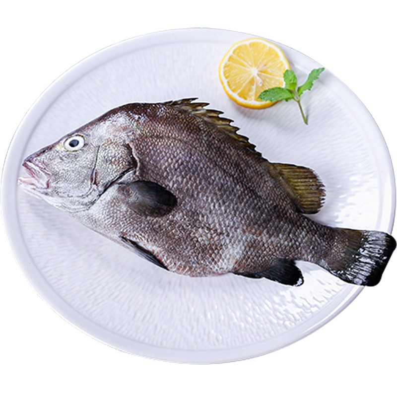 包公2斤冰鲜海鲜水产新鲜现杀海鱼鱼鲷鱼刺其它