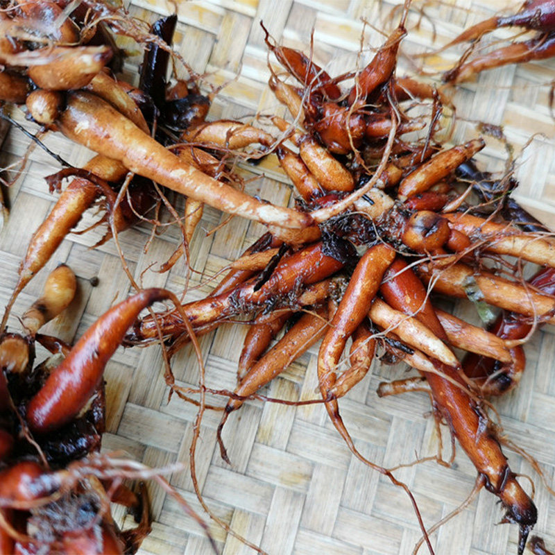 贵州草药红活麻根红禾中药材红火麻小红麻纯根其他药食同源食品
