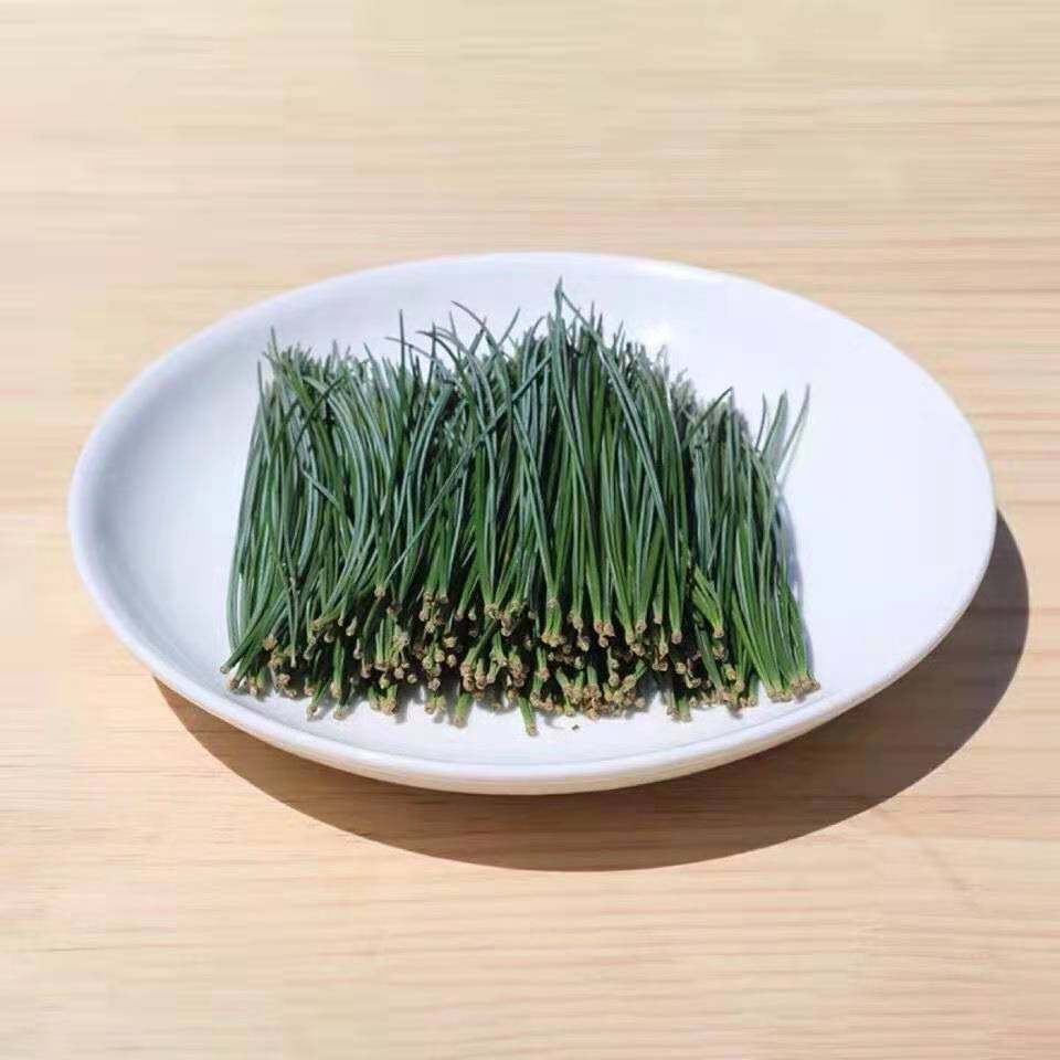 松针云南马尾酵素自制野生深山松毛马尾松两针其它