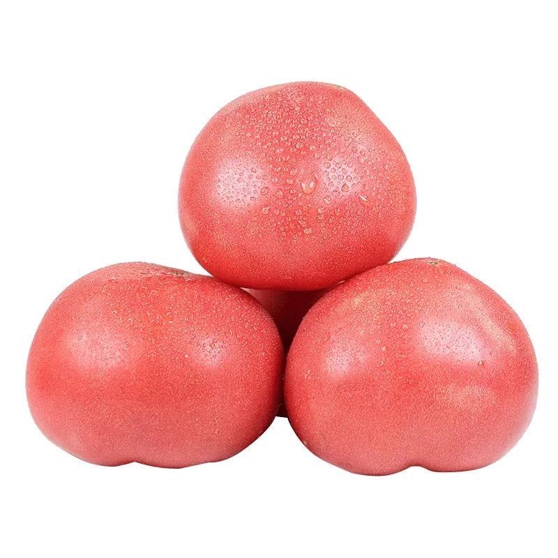 西红柿正宗粉果番茄自家露天种植酸甜有味5斤手机保护套