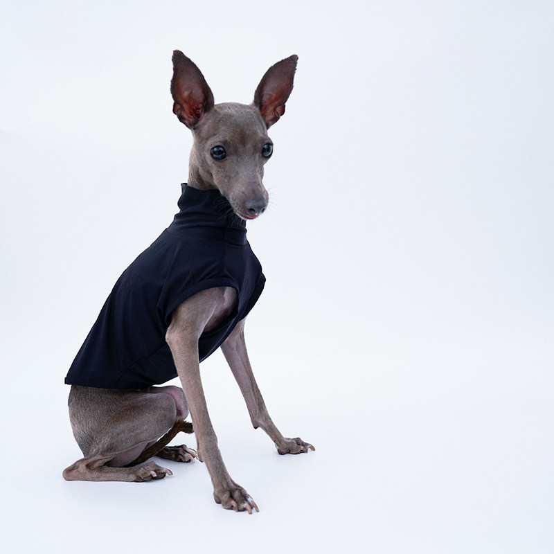 ydcstore意大利灵缇惠比特贝灵灵顿凉爽冰感冰丝轻薄猫宠物服装