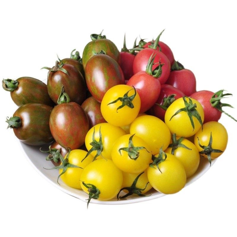 寿光彩色混装五彩小番茄新鲜蔬菜小西西红柿多色手机保护套