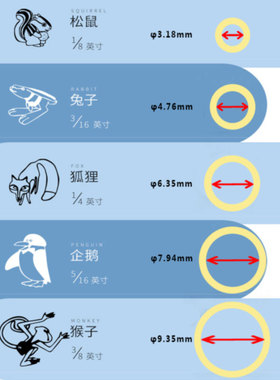 正畸皮筋动物顺序图片