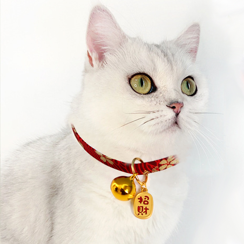 猫咪猫猫狗狗项链小猫宠物调节可调可爱猫项圈项圈