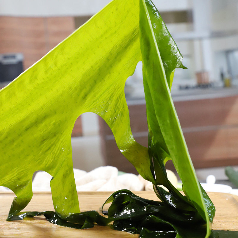 新鲜盐渍裙带菜干货500g嫩海带芽火锅烫三秒韩国海带汤的海带