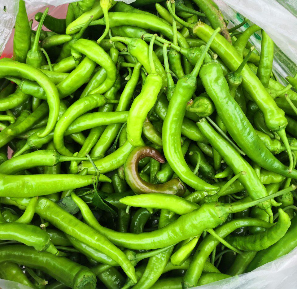 湖北农家现摘新鲜薄皮 本地青辣椒杭椒微辣虎皮青椒辣妹子5斤包邮