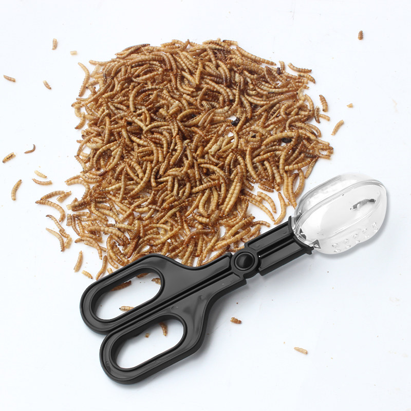 捕虫蜜蜂捉捕蜂王捕蜂野外收蜂专用爬宠夹子畜牧器械