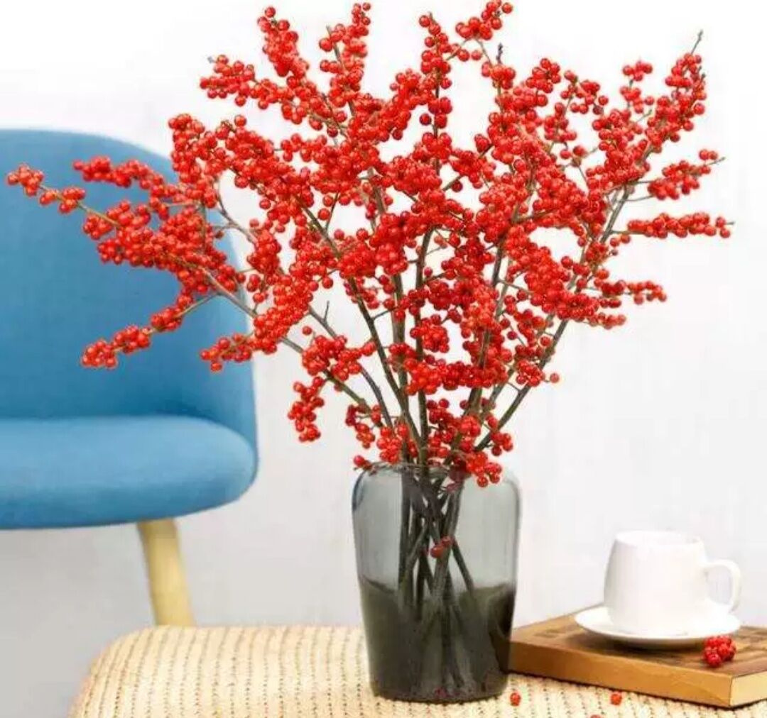 北美切枝干花植物水养鲜切冬青以水可以进口鲜花速递(同城)