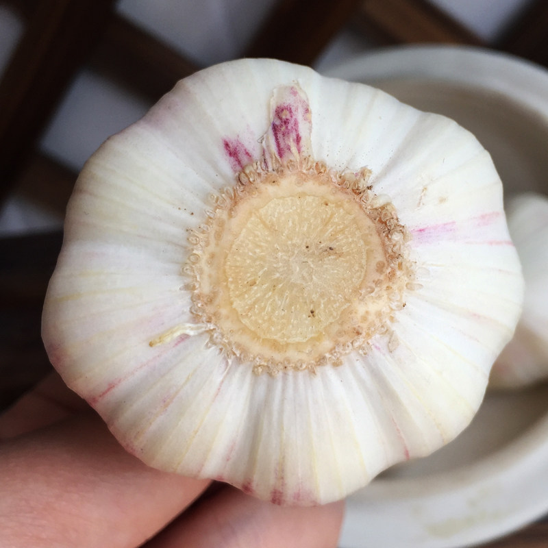 新鲜嫩农家蔬菜蒜头精品扒皮五斤糖醋白蒜皮蒜大蒜