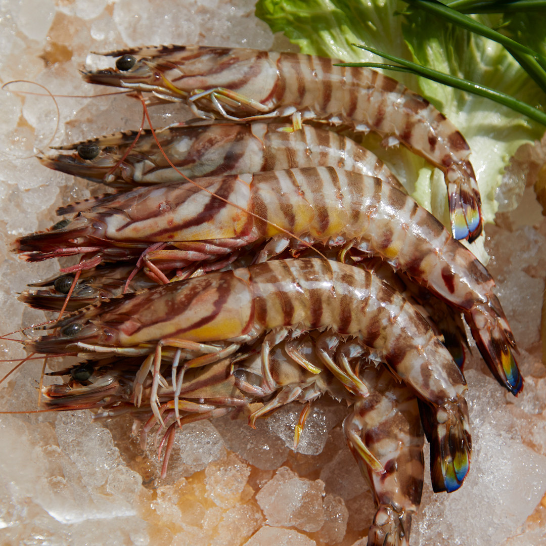 竹节8-10只九节胡记码头速冻鲜活虾新斑节海鲜冻虾