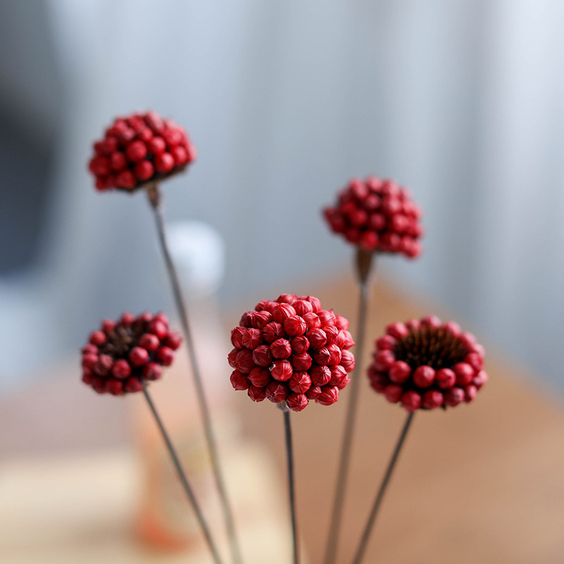 手工红豆相思摆件装饰婚房插花宿软手工艺居民干花