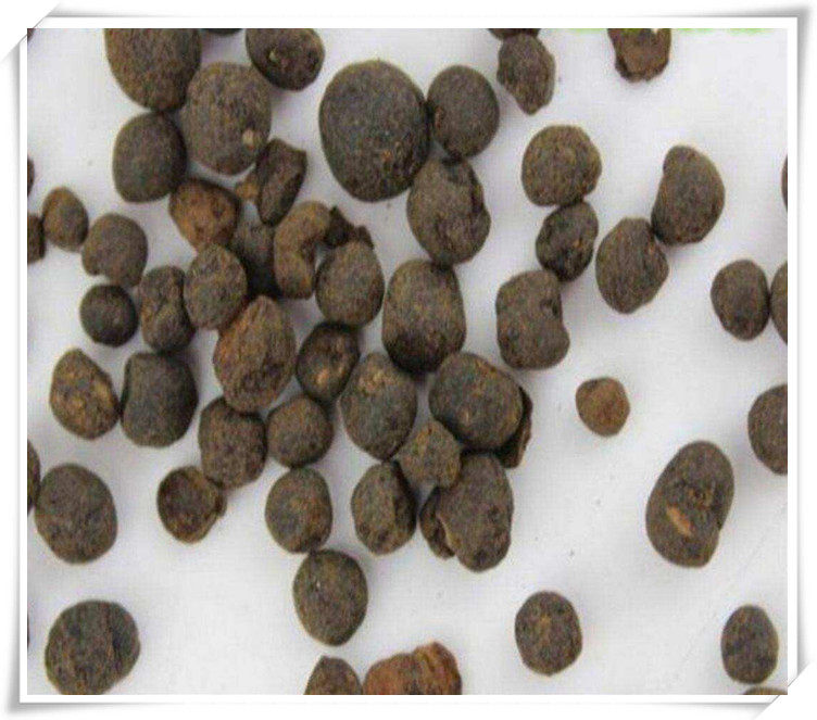 地下明珠50g落地珍珠一粒金丹茅膏菜根陈伤其他药食同源食品