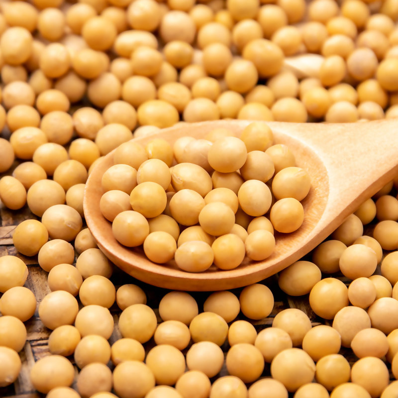 山义雨东北大豆农家黄豆五谷杂粮打豆浆专用大粒黑龙江大黄豆330g-mc