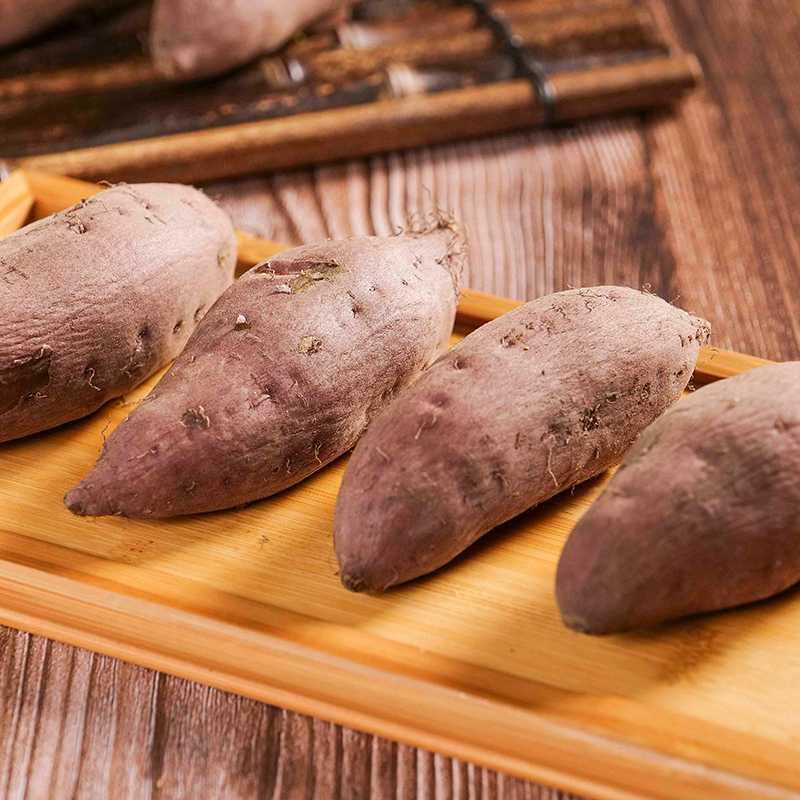 苗家圆圆板栗小番薯新鲜红薯山芋中蜜农家现挖番薯