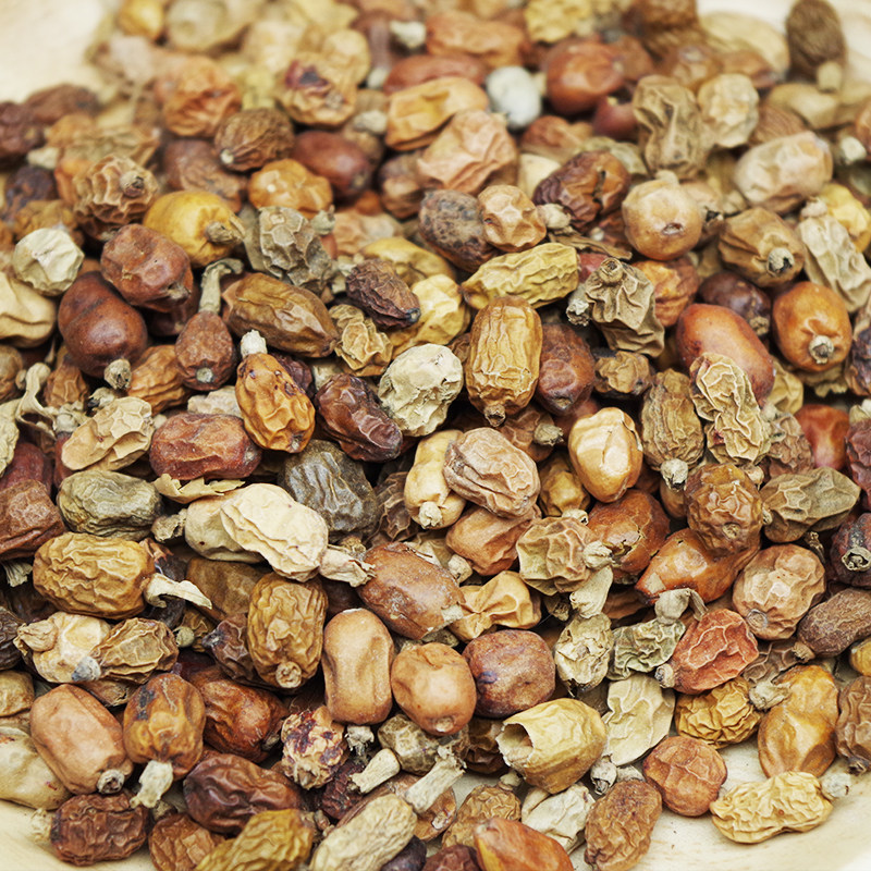 红蔻50g红豆豆蔻红寇红扣红叩香料调料大全其他药食同源食品